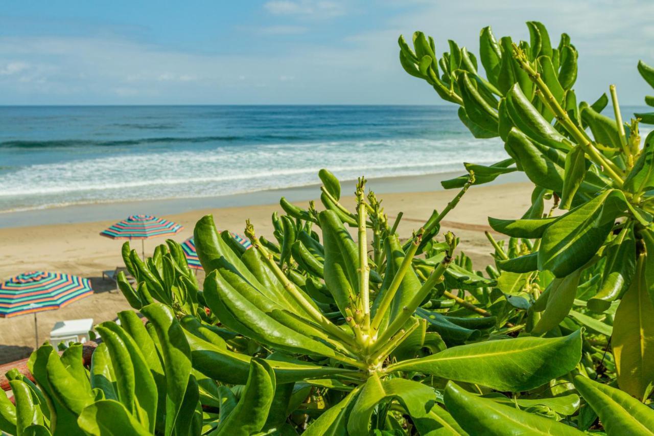 Marsai Hotel Boutique (Adults Only) Punta Mita Eksteriør bilde